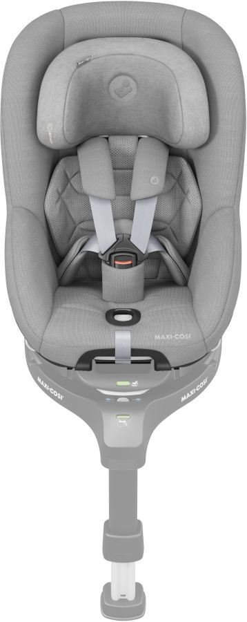 authentic grey